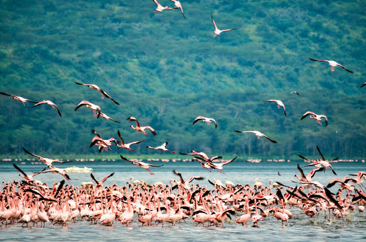 Kenya_destination_landscape_image_6