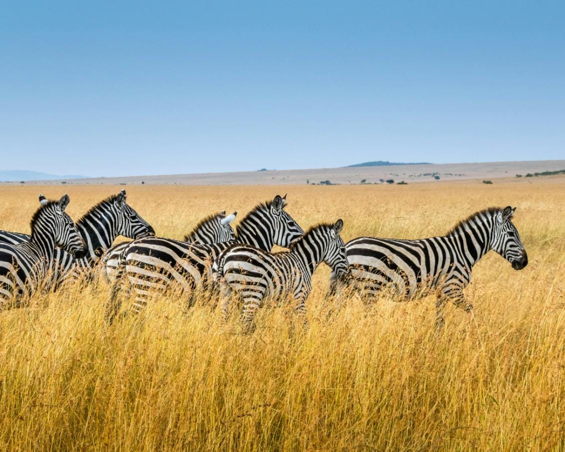 Kenya_destination_landscape_image_7