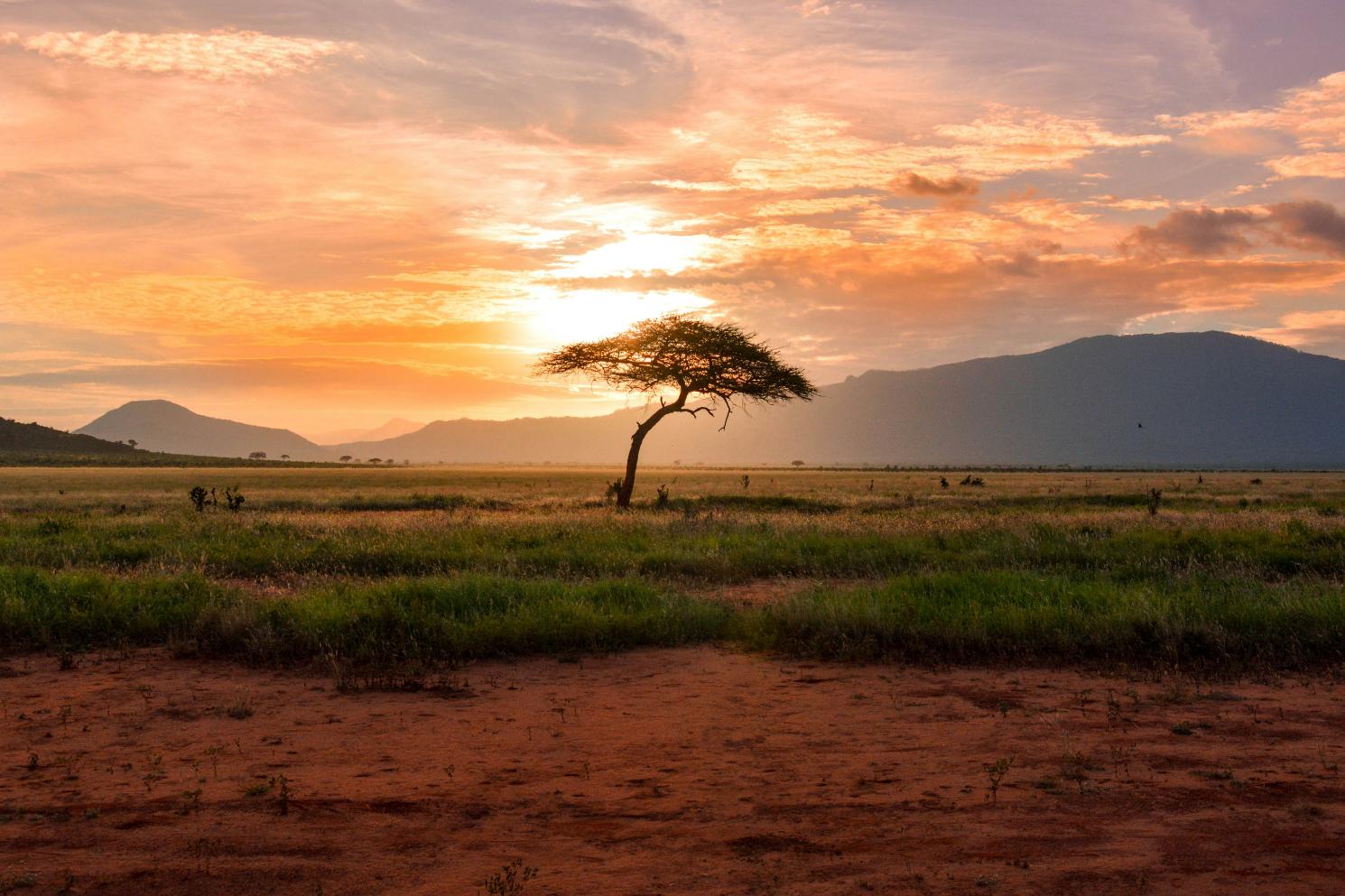 South_africa_destination_landscape_image_2