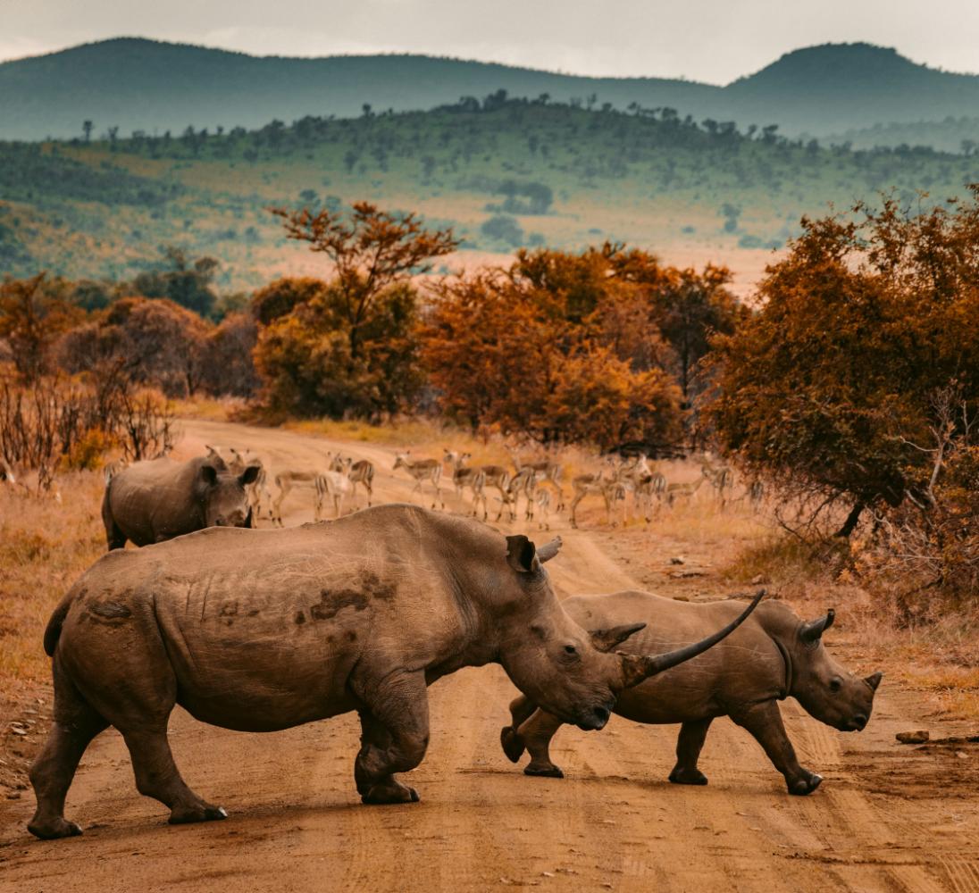South_africa_destination_landscape_image_7