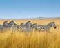 Kenya_destination_landscape_image_7