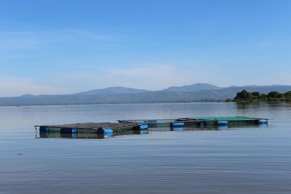 Kenya_destination_landscape_image_8