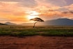 South_africa_destination_landscape_image_2