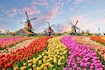 Netherlands_country_images_3