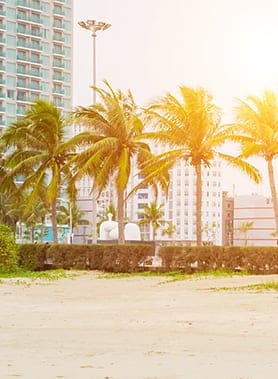 Da Nang Pham Van Dong Beach Portrait Image