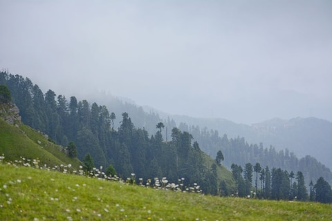 Dainkund Peak Near Dalhousie
