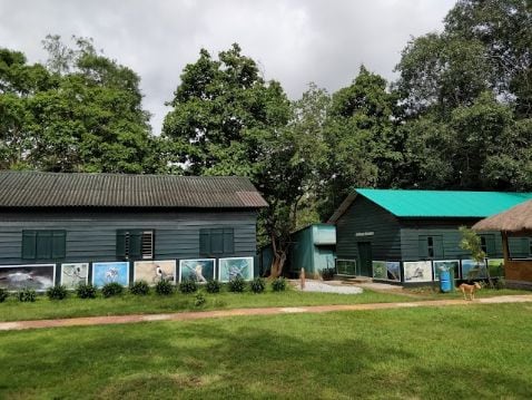 dandeli_kulgi_nature_camp