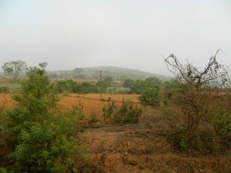 dandeli_shiroli_peak