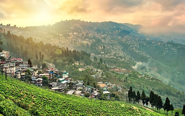 Darjeeling landscape image 