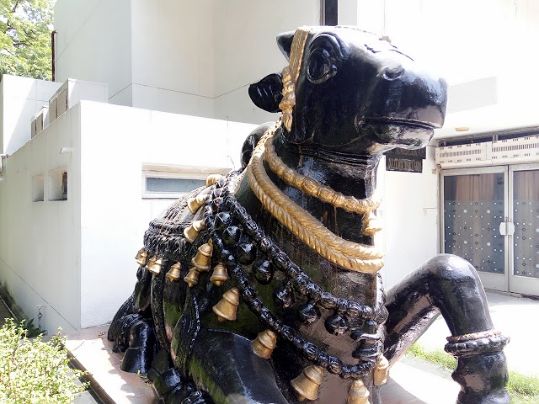 delhi_andhra_bhawan_canteen_4