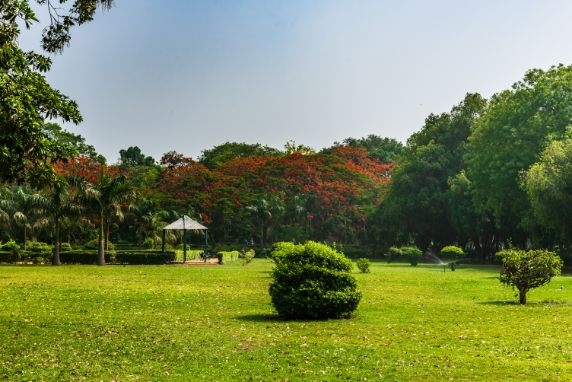 delhi_lush_gardens_of_delhi_3