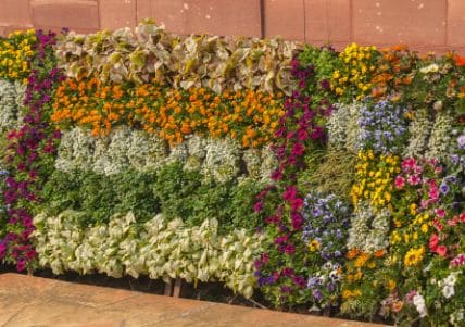 delhi_lush_gardens_of_delhi_5