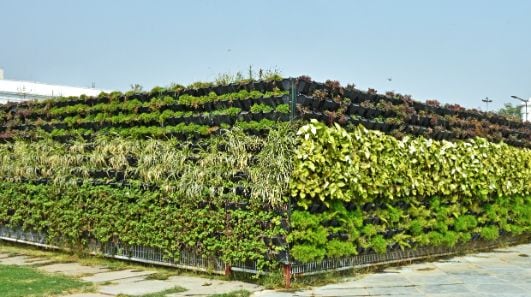 Delhi Lush Gardens Of Delhi Landscape Image