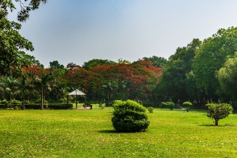 Enjoy Picnic in the Lush Gardens of Delhi