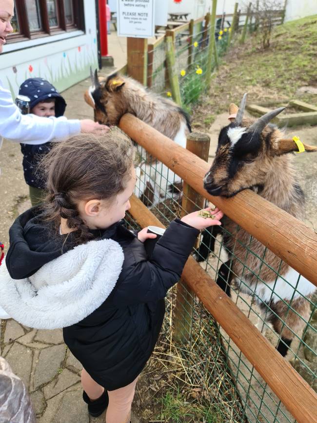 Leicester_Gorse_Hill_City_Farm_10
