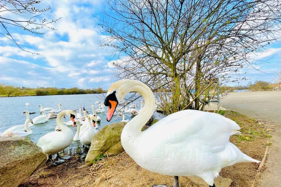 Leicester_Watermead_Country_Park_2
