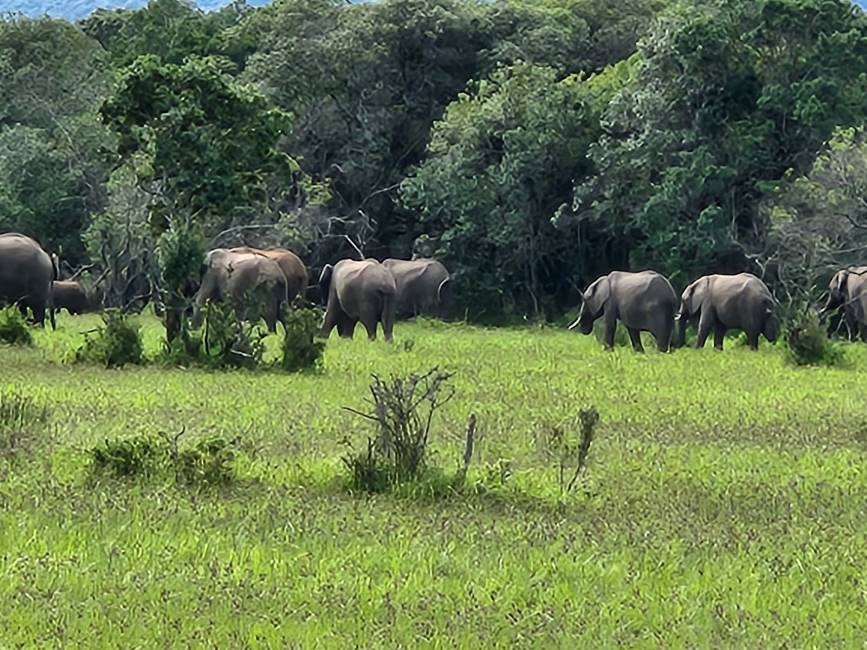 Maasai_Mara_Enonkishu_Conservancy_6