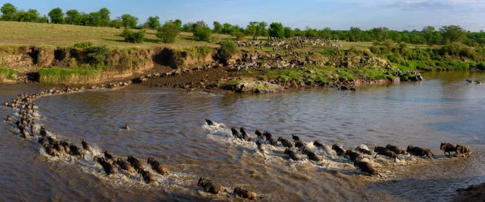 Maasai_Mara_Mara_River_SS_3