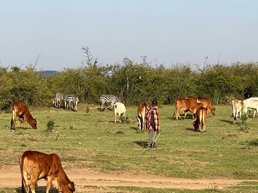 Maasai_Mara_Nashulai_Maasai_Conservancy_4
