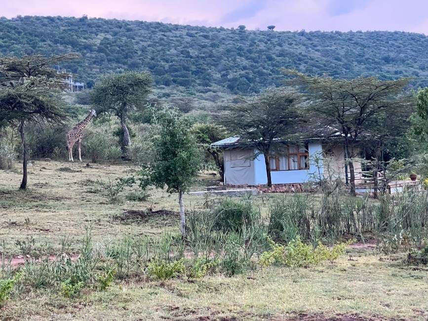 Maasai_Mara_Nashulai_Maasai_Conservancy_7