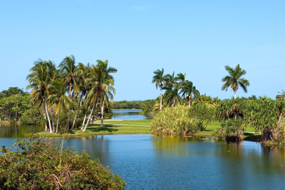 Miami_Fairchild_Tropical_Botanic_Garden_SS_2
