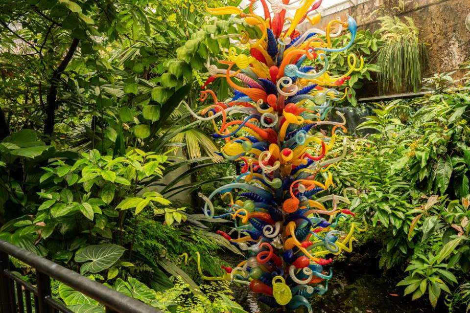 Miami_Fairchild_Tropical_Botanic_Garden_SS_4