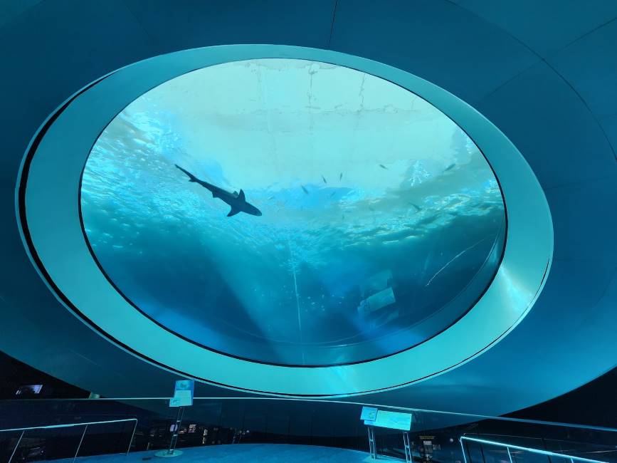 Miami_Philip_&_Patricia_Frost_Museum_of_Science_1