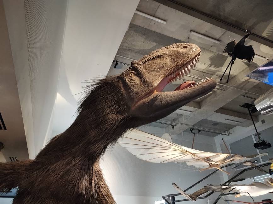 Miami_Philip_&_Patricia_Frost_Museum_of_Science_3