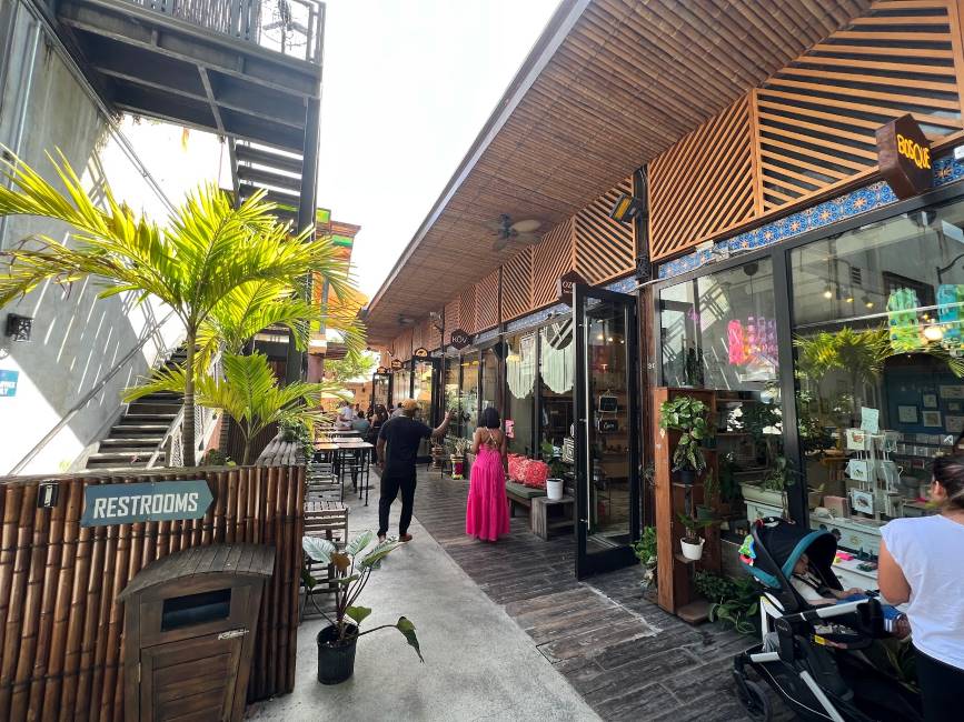 Miami_Upper_Buena_Vista_1