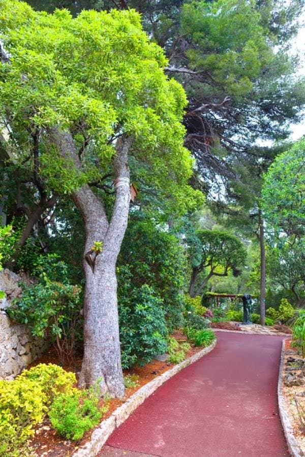 Monaco_Exotic_Garden_of_Monaco_SS_2