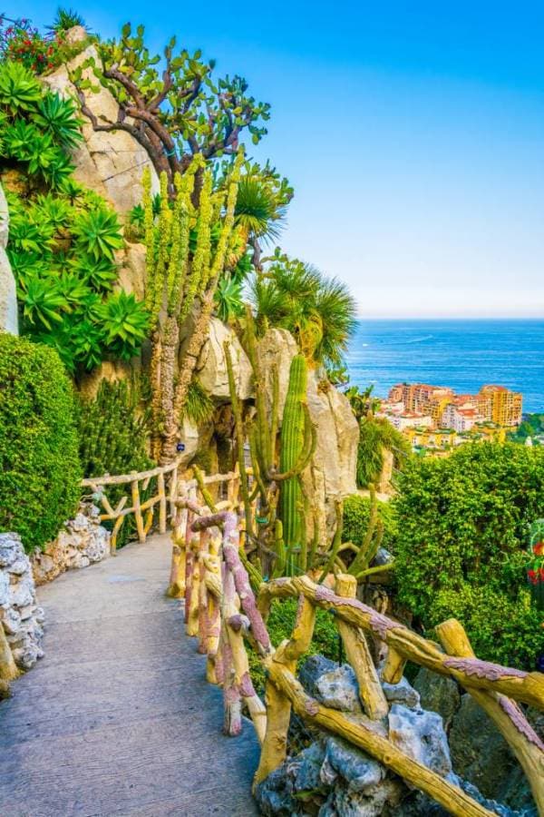 Monaco_Exotic_Garden_of_Monaco_SS_3