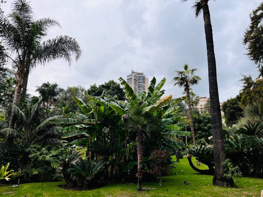 Monaco_Jardins_de_la_Petite_Afrique_2