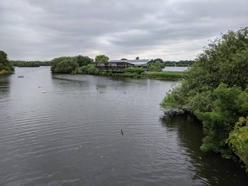 Nottingham_Attenborough_Nature_Reserve_4