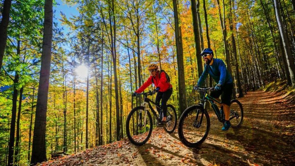 Nottingham_Cycling_Through_Sherwood_forests_SS_1
