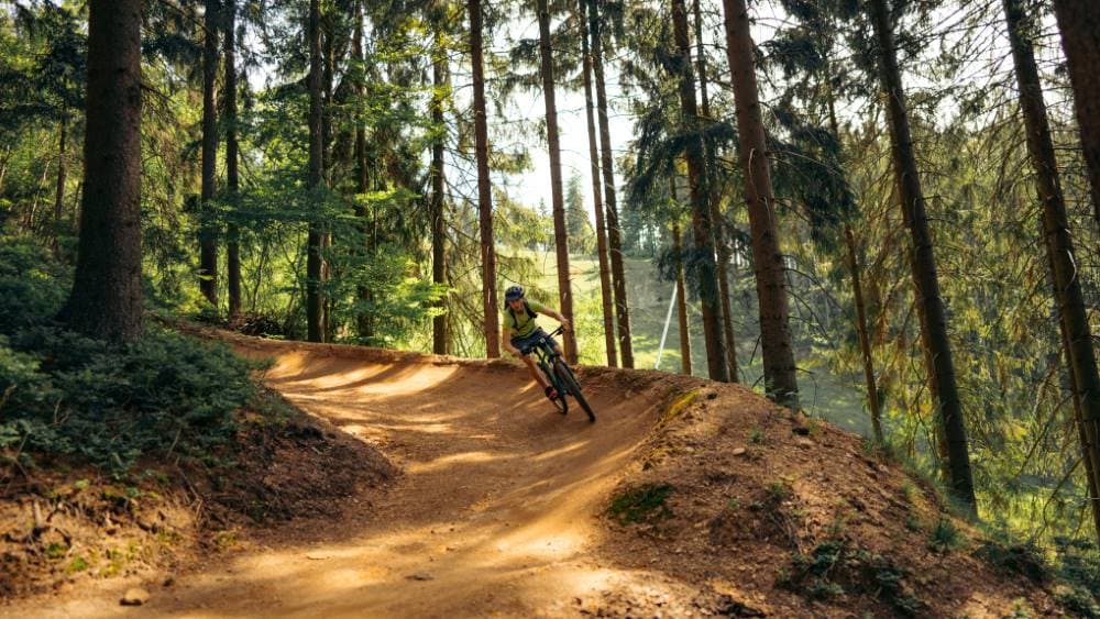 Nottingham_Cycling_Through_Sherwood_forests_SS_2
