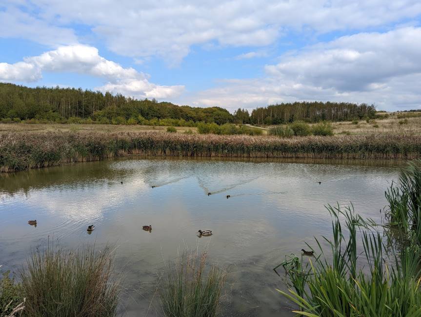 Nottingham_Gedling_Country_Park_2