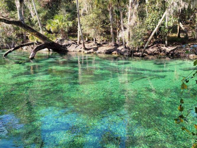 Orlando_Blue_Spring_State_Park_1
