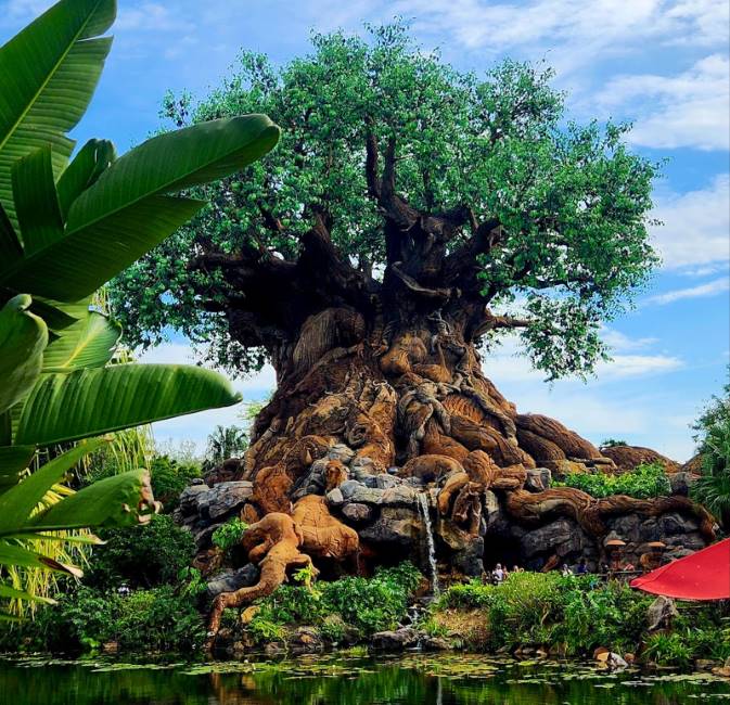 Orlando_Disneys_Animal_Kingdom_Theme_Park_1