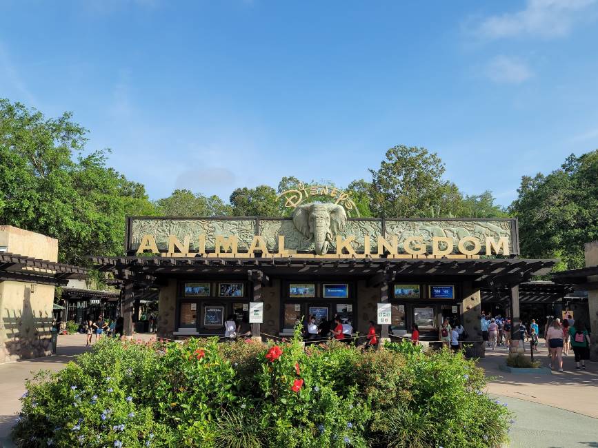 Orlando_Disneys_Animal_Kingdom_Theme_Park_6