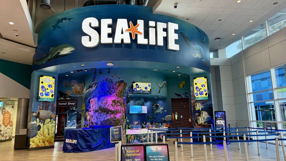 Orlando_SEA_LIFE_Orlando_Aquarium_4
