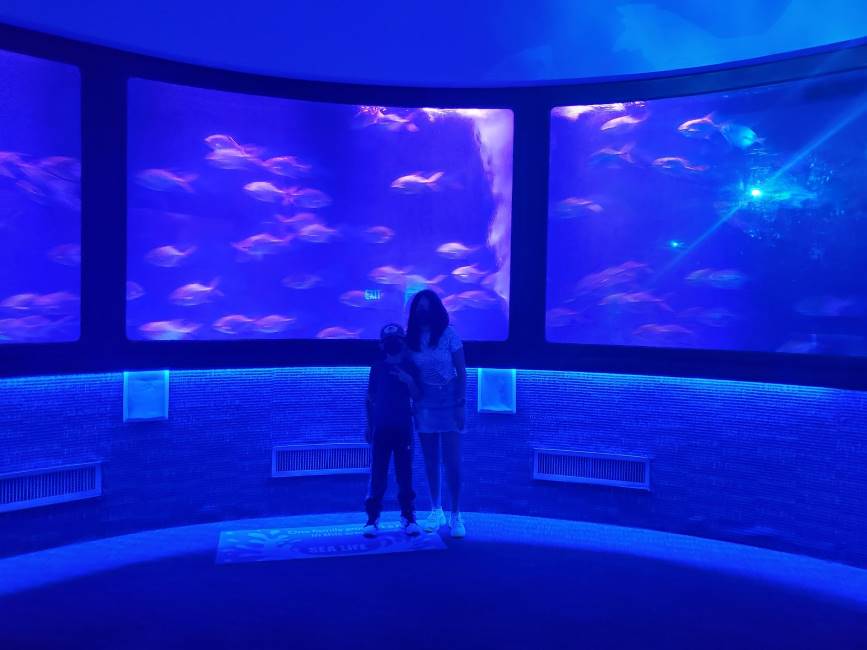 Orlando_SEA_LIFE_Orlando_Aquarium_5