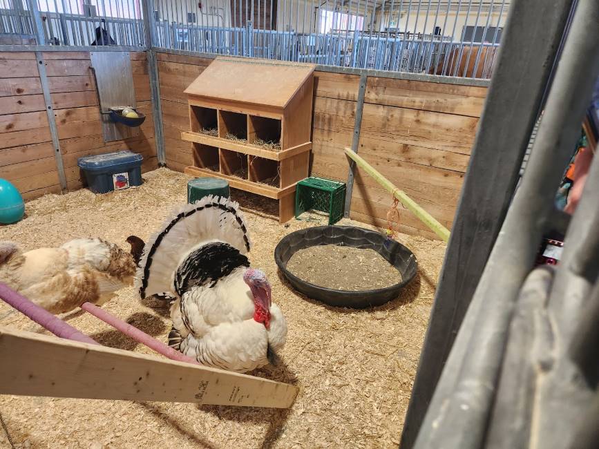 Ottawa_Canada_Agriculture_and_Food_Museum_6