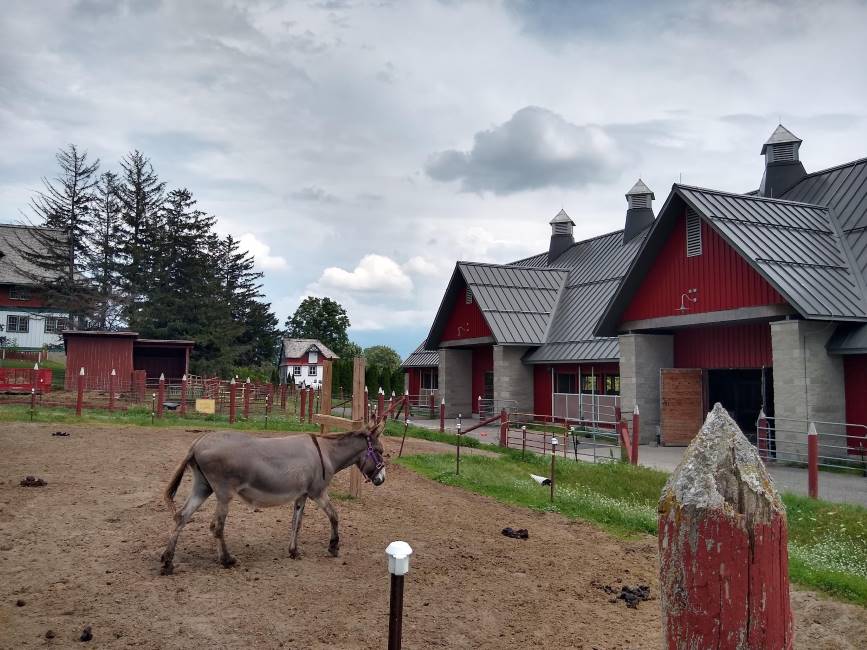 Ottawa_Canada_Agriculture_and_Food_Museum_8