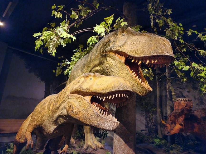 Ottawa_Canadian_Museum_of_Nature_6