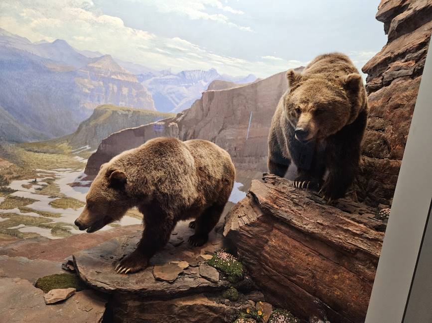 Ottawa_Canadian_Museum_of_Nature_8