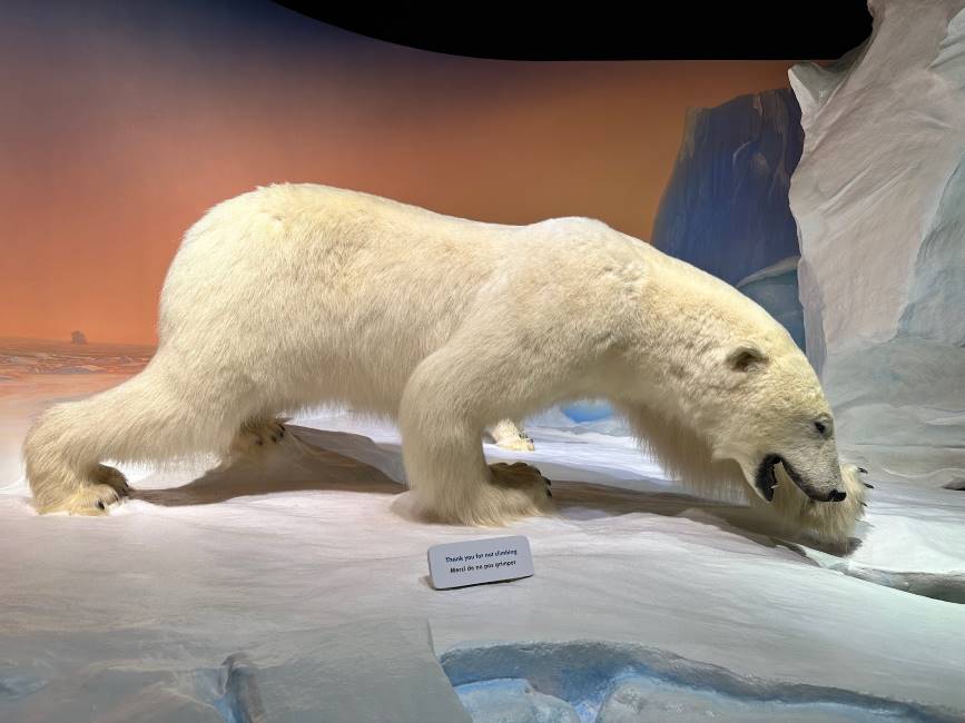 Ottawa_Canadian_Museum_of_Nature_9