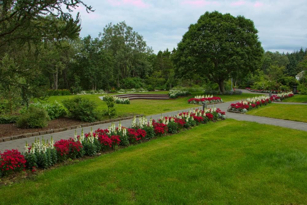 Reykjavik_Botanical_Garden_SS_2