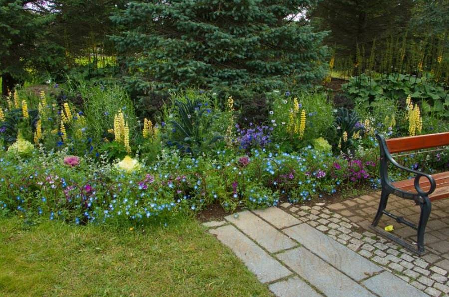 Reykjavik_Botanical_Garden_SS_3