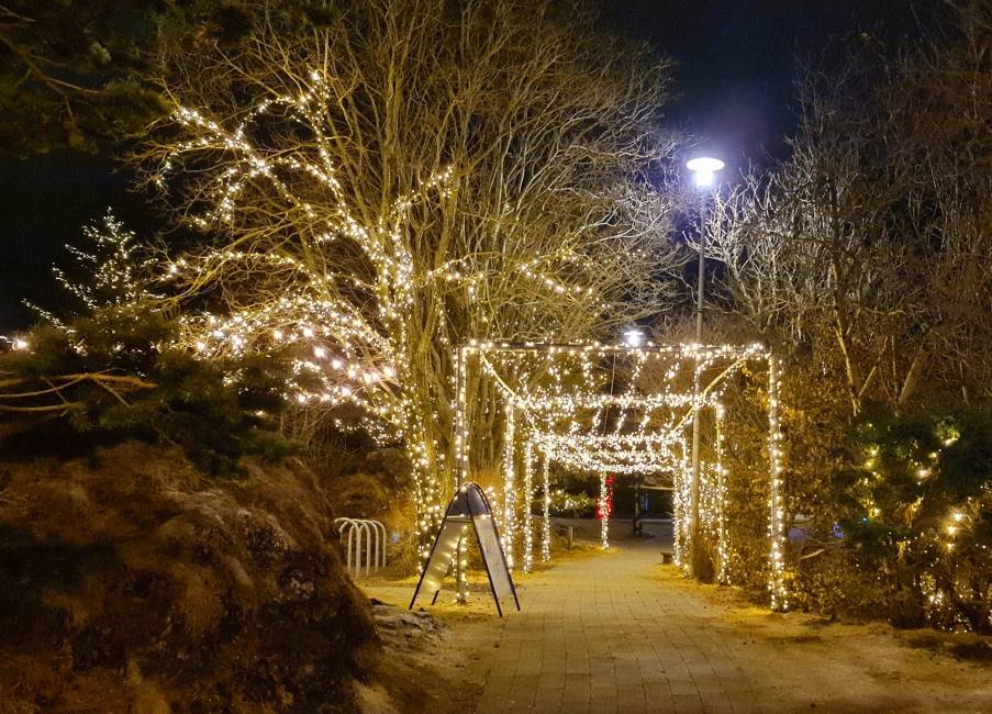 Reykjavik_Hellisgeroi_Park_2
