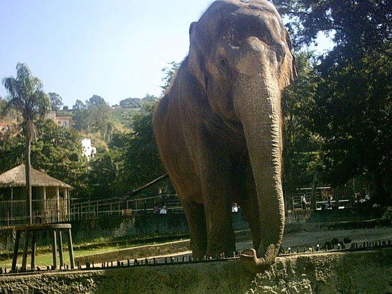 Rio_de_Janerio_BioPark_of_Rio_3